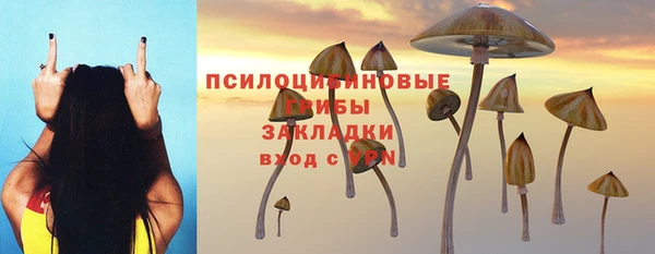 spice Осинники
