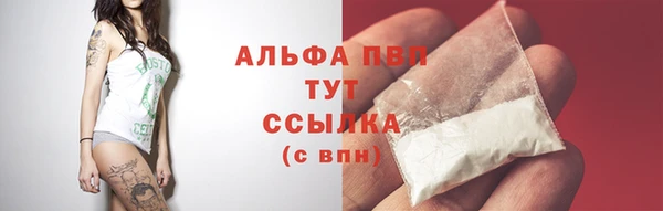 СК Осташков