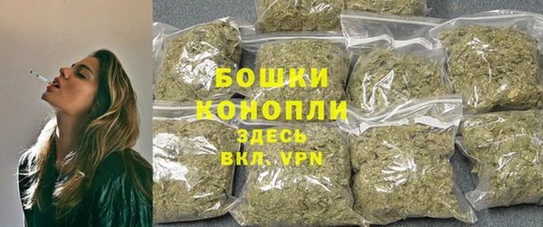 spice Осинники