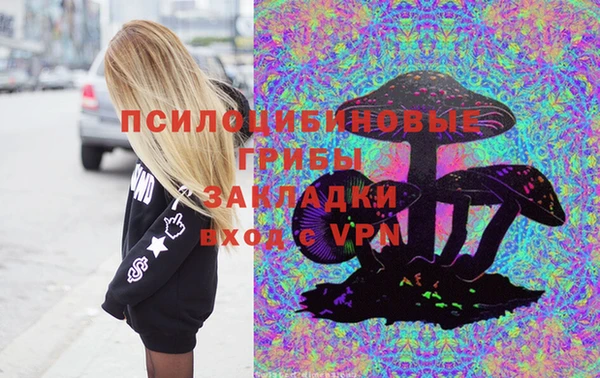 spice Осинники