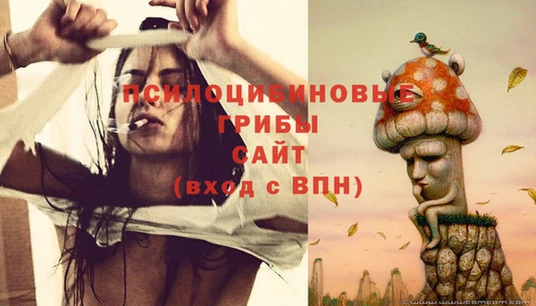 spice Осинники
