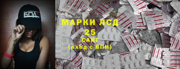spice Осинники