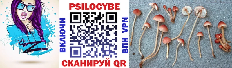 Галлюциногенные грибы GOLDEN TEACHER  купить  цена  Новороссийск 