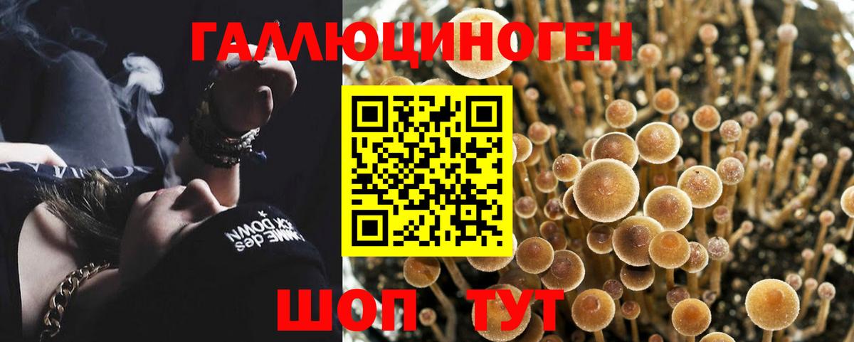 Псилоцибиновые грибы ЛСД  Галлюциногенные грибы Magic Shrooms  Новороссийск  Вход с VPN 
