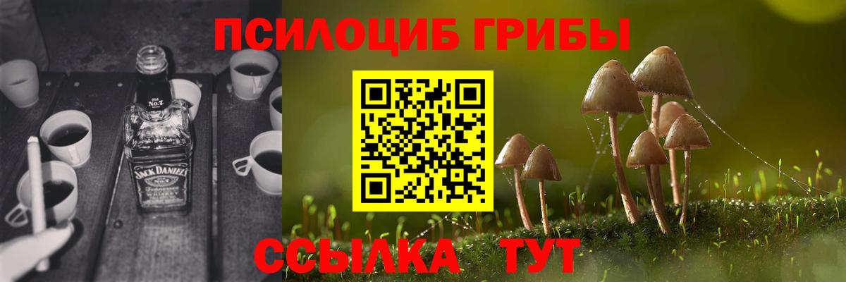 Галлюциногенные грибы Cubensis Новороссийск