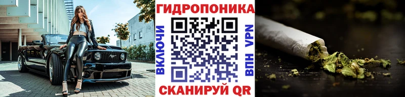 магазин Новороссийск мориарти как зайти МАРИХУАНА ГИДРОПОН